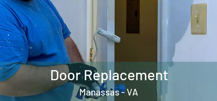  Door Replacement Manassas - VA
