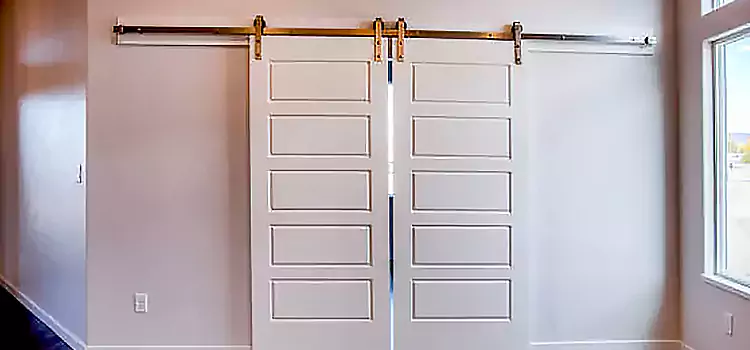 Glass Barn Door with Installation Hardware Kit Manassas
