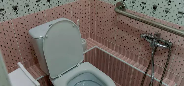 Meeting Diverse Needs With Accessible Restroom Solutions in Manassas, VA