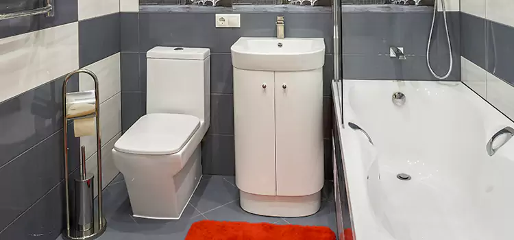 Hansgrohe Shaving Mirror Manassas